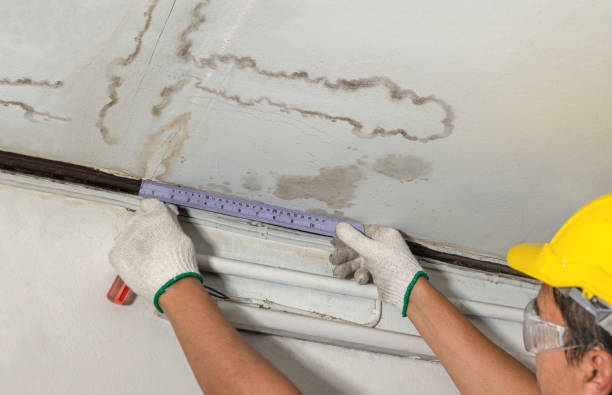 Reliable Mold Remediation contractor in Benton, KY by Water Damage Irwin
